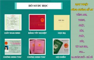 Dịch hồ sơ du học
